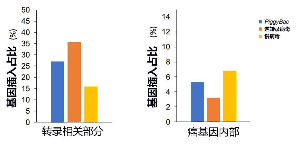 CAR基因插入CAR-T细胞中转录相关位置及癌基因内的位点