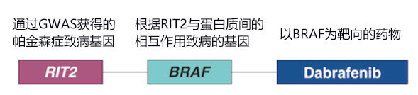 通过药物筛选确定达拉非尼有效